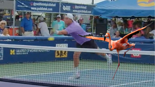 What Is the “Flamingo” on the Pickleball Court? | Pickler Pickleball