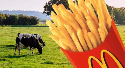 Murmurs from the Losers’ Bracket: The Lesson McDonald’s French Fries Have for Pickleball | Pickler Pickleball