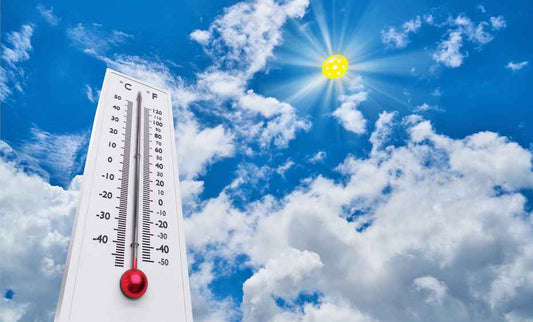Murmurs from the Losers' Bracket: Top 10 Signs It’s Too Hot to Play Pickleball Outside